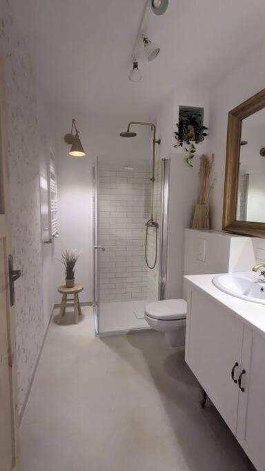 Apartament&Spa Lis&Las Sobótka المظهر الخارجي الصورة